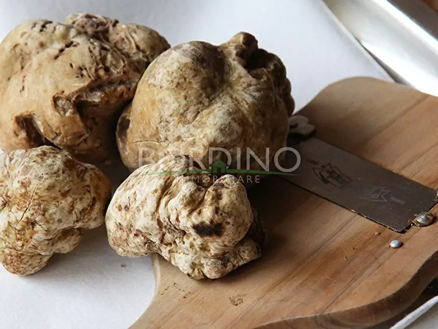 Immagine 2 di Terreno in vendita  a Govone