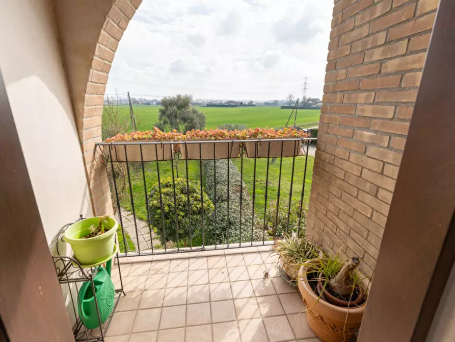 Immagine 21 di Casa bifamiliare in vendita  a Codevigo