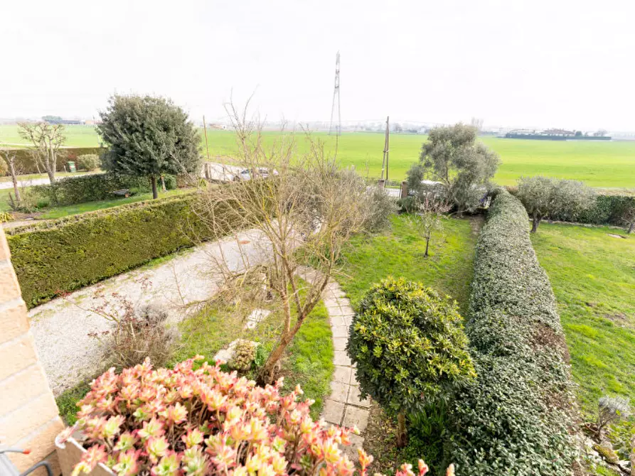 Immagine 22 di Casa bifamiliare in vendita  a Codevigo