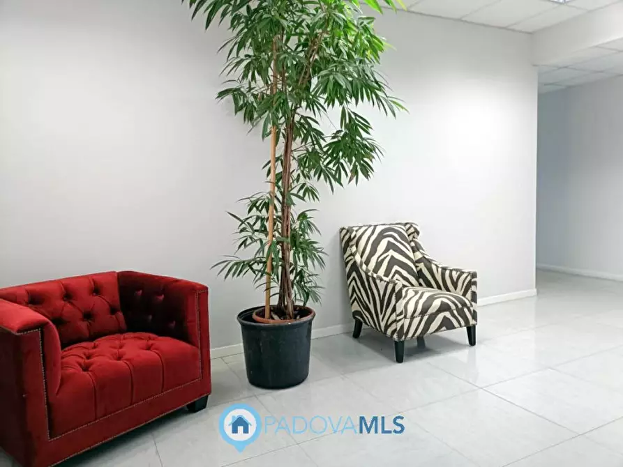 Immagine 5 di Ufficio in vendita  in Via Panà a Noventa Padovana