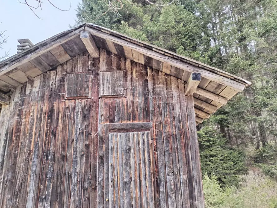 Immagine 2 di Rustico / casale in vendita  in Via Val Da Rin a Auronzo Di Cadore