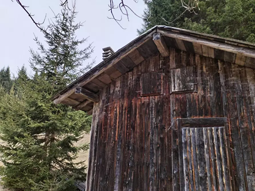 Immagine 3 di Rustico / casale in vendita  in Via Val Da Rin a Auronzo Di Cadore