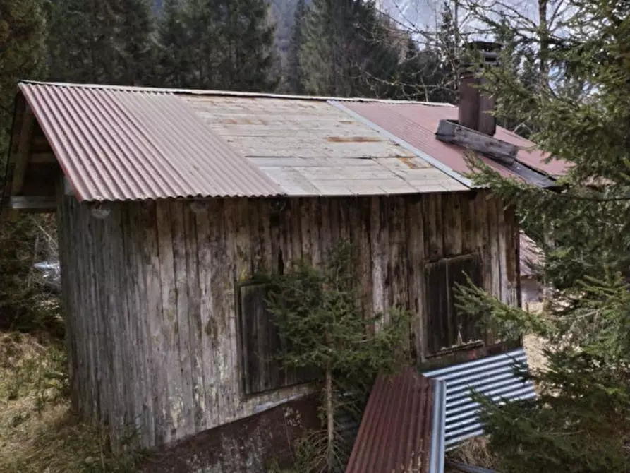 Immagine 5 di Rustico / casale in vendita  in Via Val Da Rin a Auronzo Di Cadore
