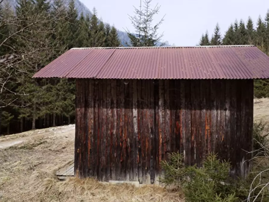 Immagine 6 di Rustico / casale in vendita  in Via Val Da Rin a Auronzo Di Cadore