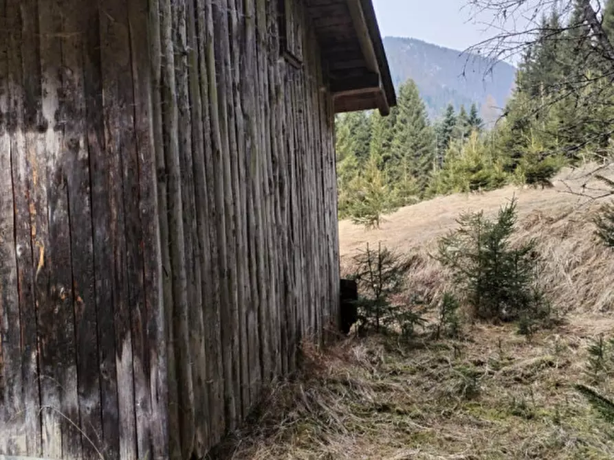 Immagine 7 di Rustico / casale in vendita  in Via Val Da Rin a Auronzo Di Cadore