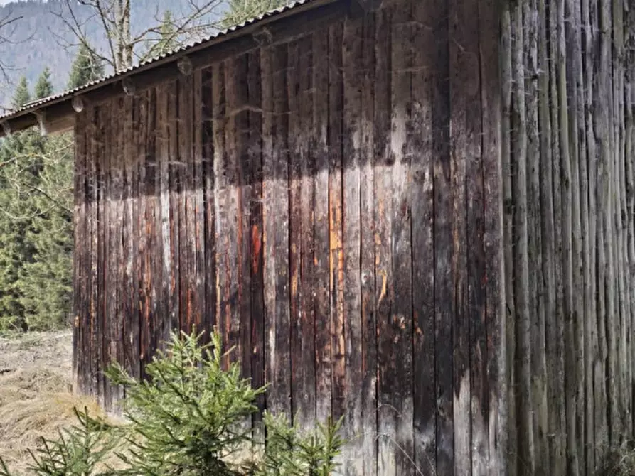 Immagine 8 di Rustico / casale in vendita  in Via Val Da Rin a Auronzo Di Cadore