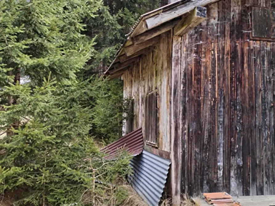 Immagine 9 di Rustico / casale in vendita  in Via Val Da Rin a Auronzo Di Cadore