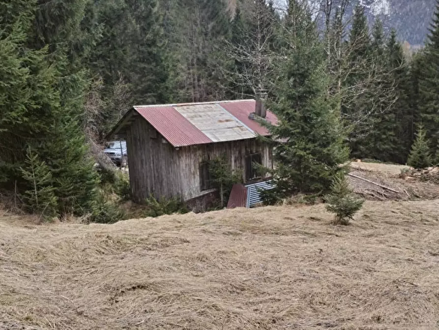 Immagine 11 di Rustico / casale in vendita  in Via Val Da Rin a Auronzo Di Cadore