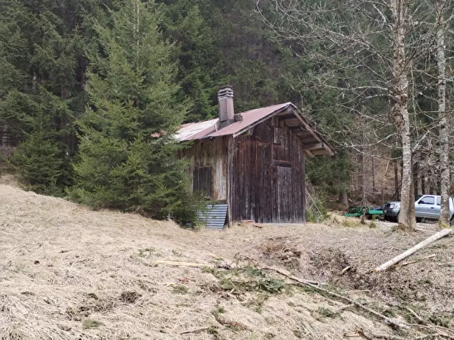 Immagine 12 di Rustico / casale in vendita  in Via Val Da Rin a Auronzo Di Cadore