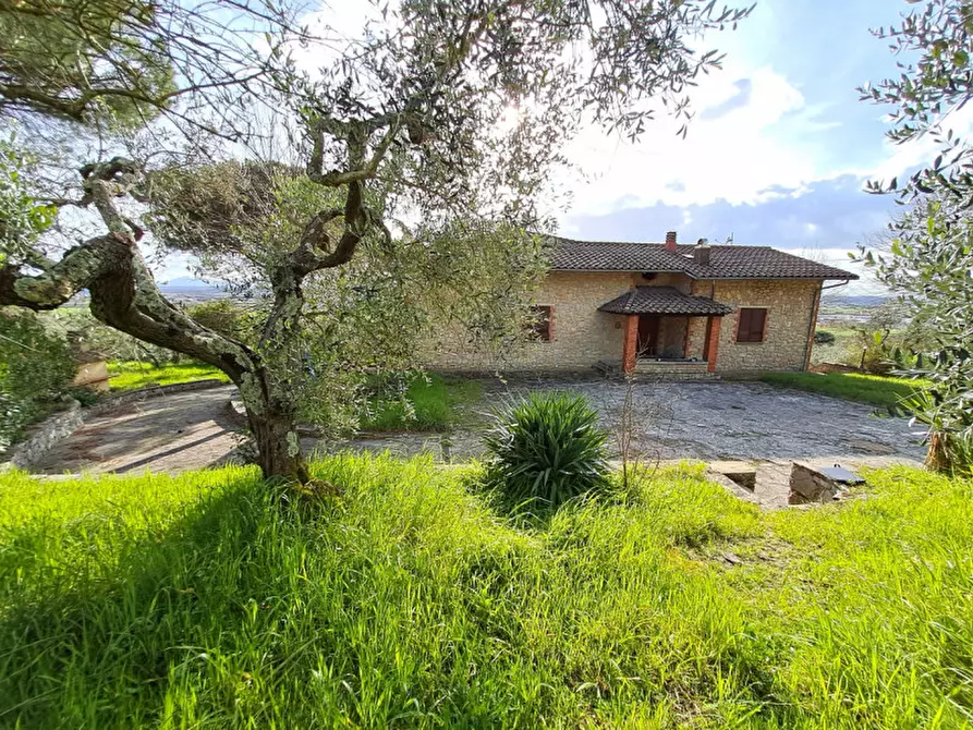 Immagine 4 di Villa in vendita  a Cortona