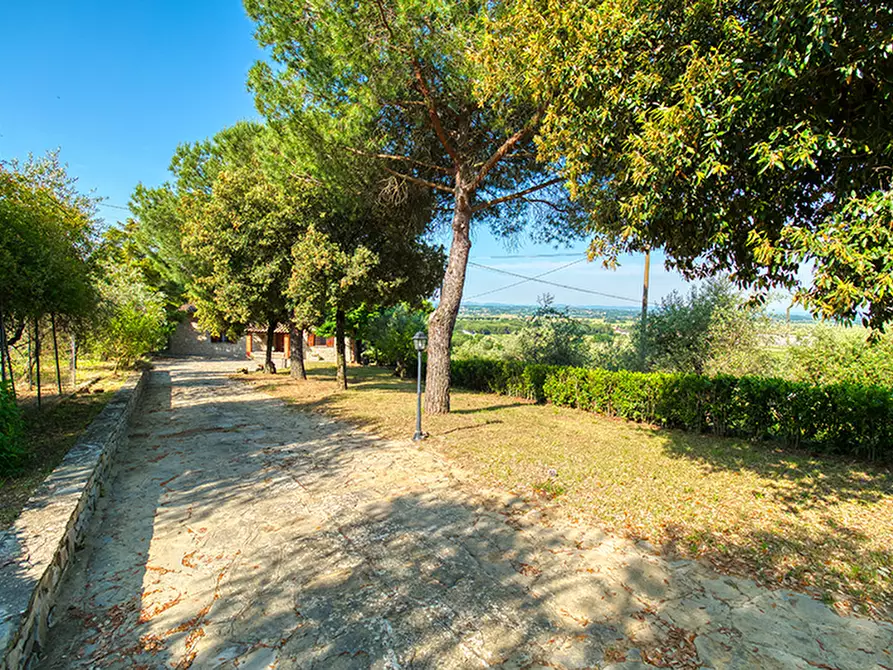 Immagine 6 di Villa in vendita  a Cortona