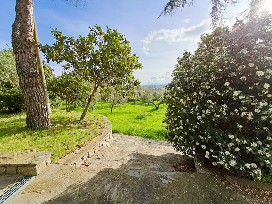 Immagine 17 di Villa in vendita  a Cortona