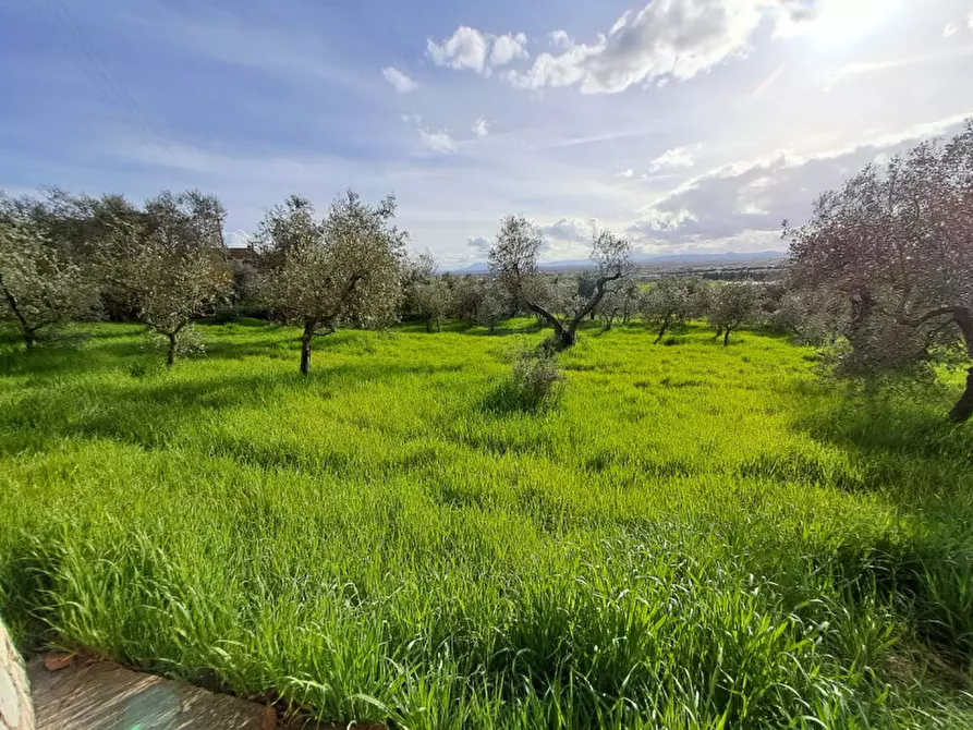 Immagine 18 di Villa in vendita  a Cortona