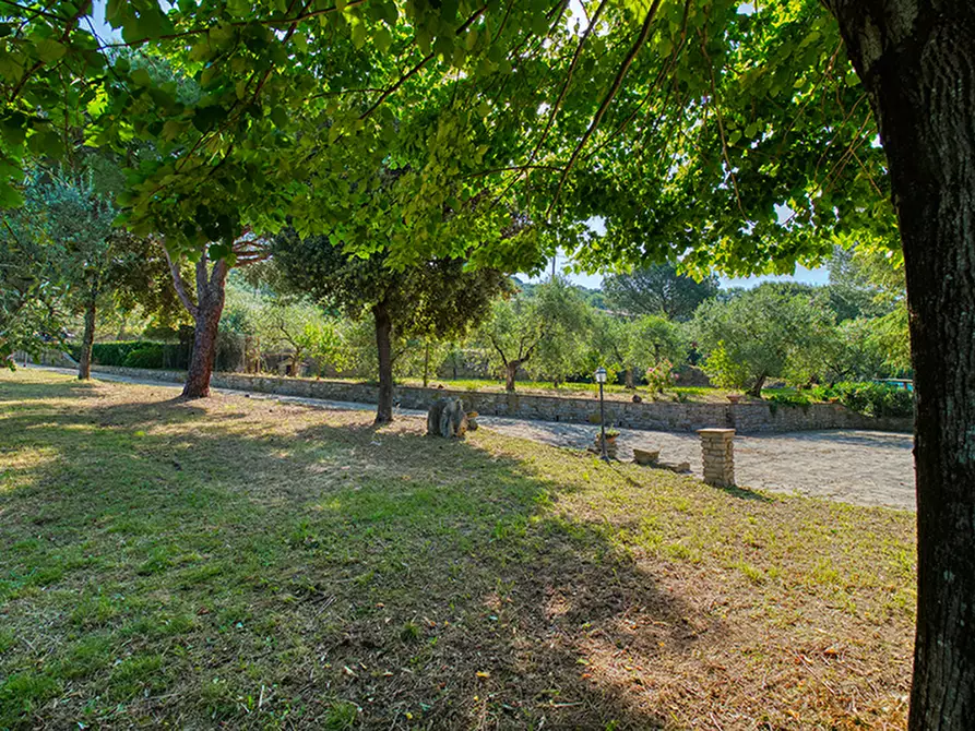 Immagine 19 di Villa in vendita  a Cortona