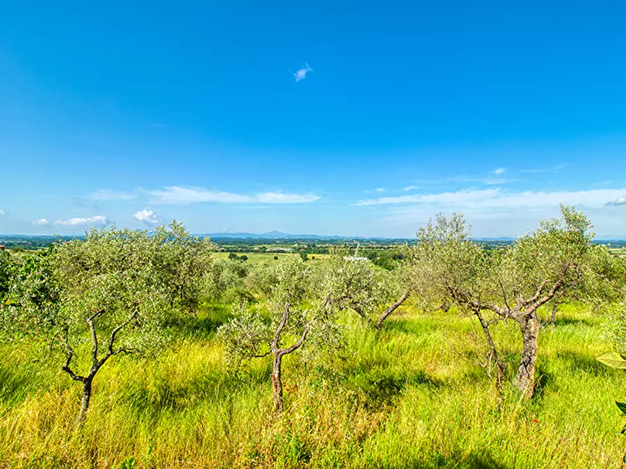 Immagine 20 di Villa in vendita  a Cortona