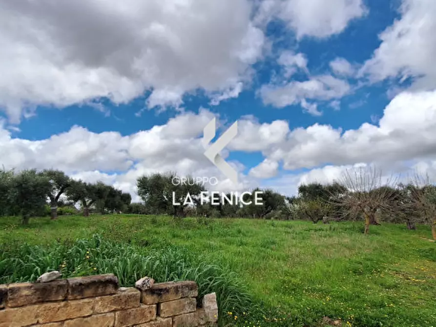 Immagine 4 di Rustico / casale in vendita  in via Barsenta a Alberobello