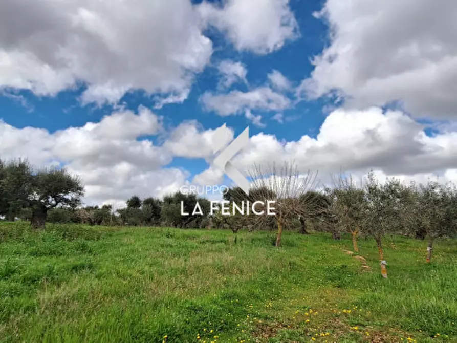 Immagine 5 di Rustico / casale in vendita  in via Barsenta a Alberobello