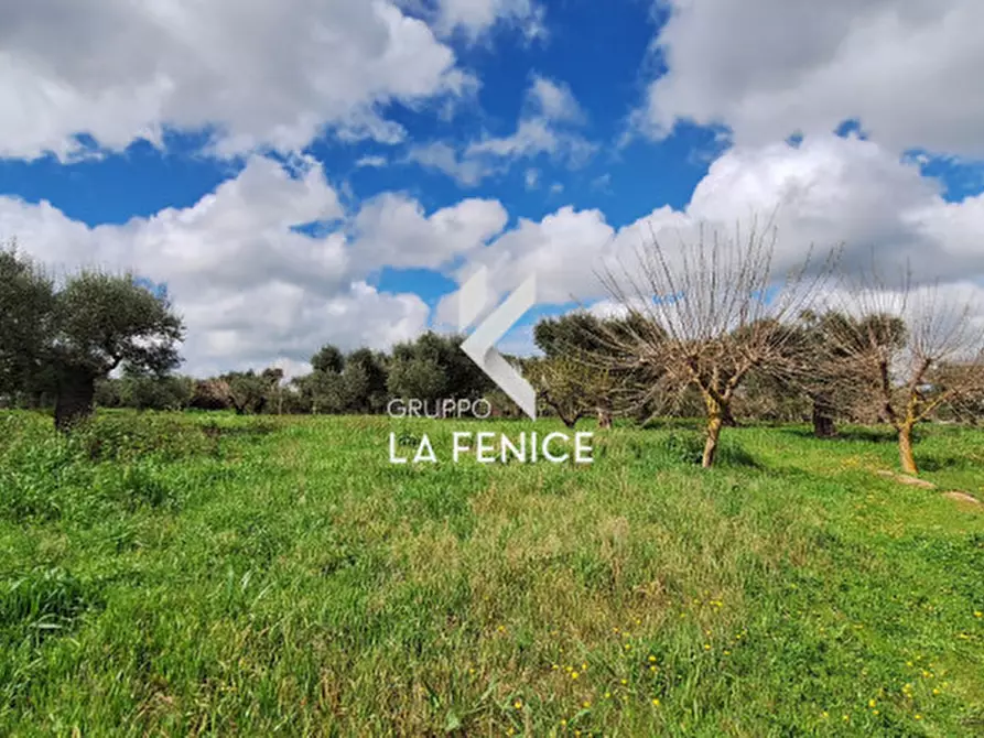 Immagine 6 di Rustico / casale in vendita  in via Barsenta a Alberobello