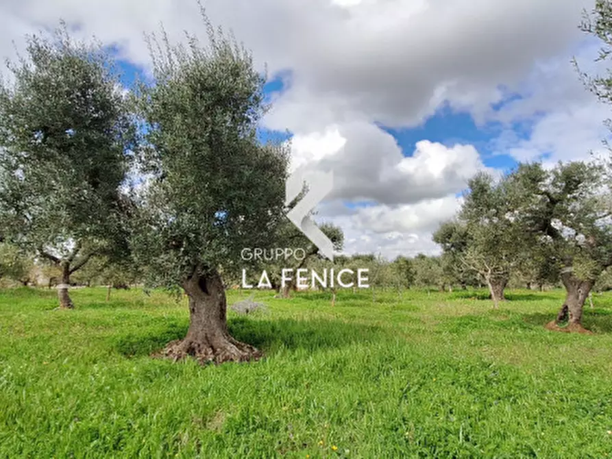 Immagine 8 di Rustico / casale in vendita  in via Barsenta a Alberobello