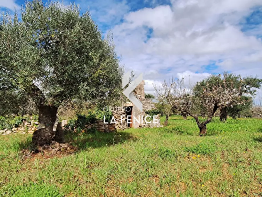 Immagine 15 di Rustico / casale in vendita  in via Barsenta a Alberobello
