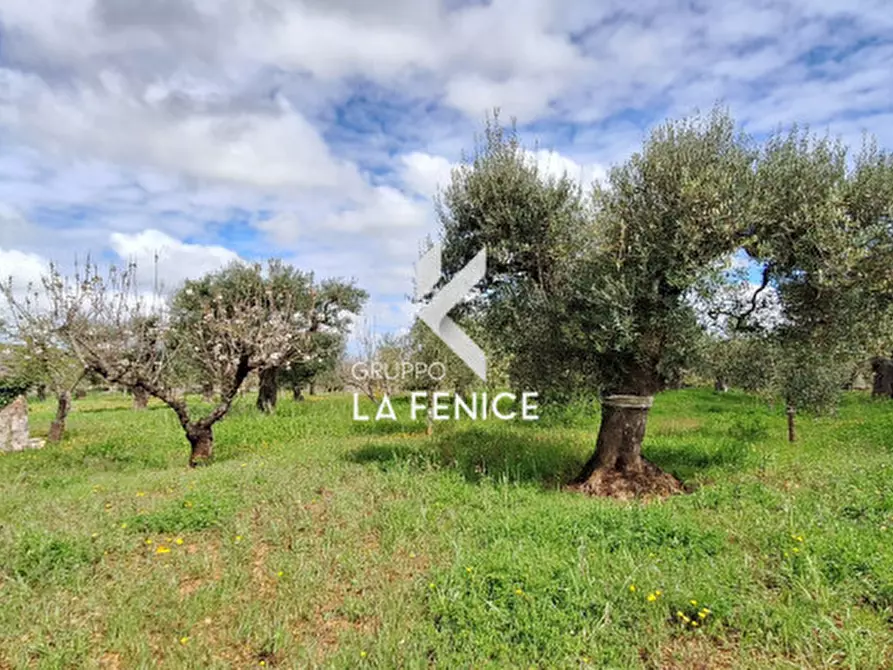 Immagine 16 di Rustico / casale in vendita  in via Barsenta a Alberobello