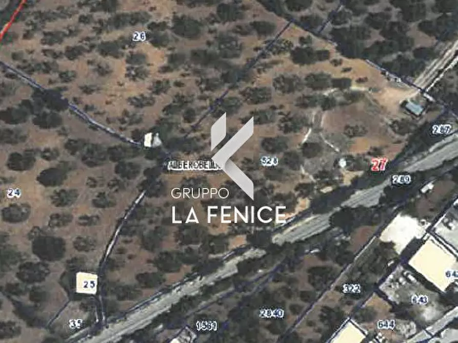 Immagine 31 di Rustico / casale in vendita  in via Barsenta a Alberobello