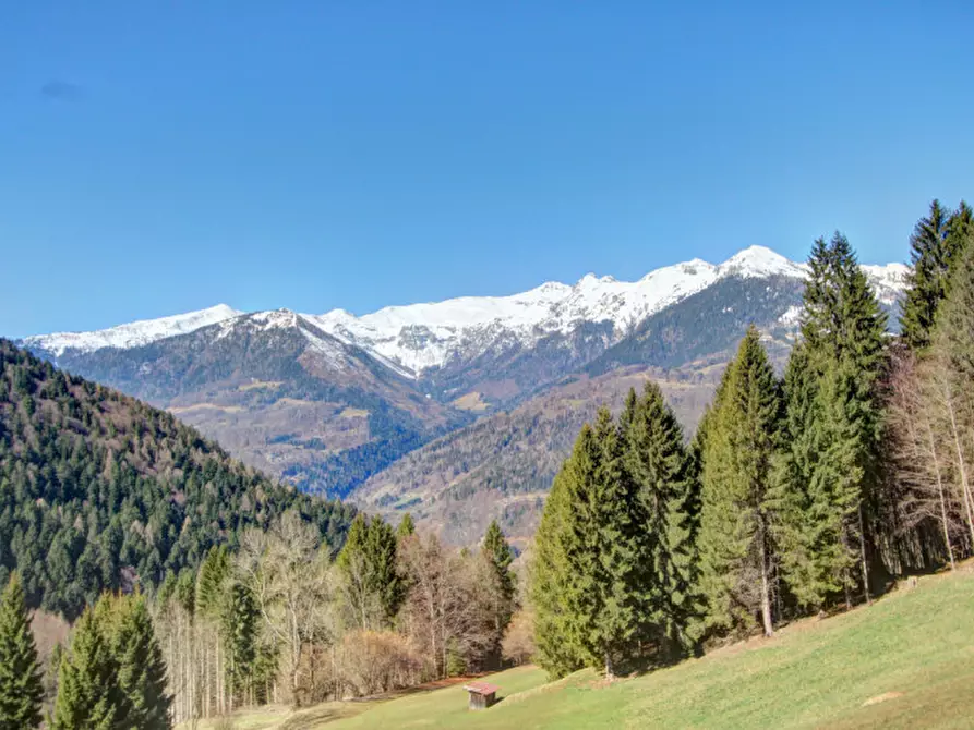 Immagine 1 di Rustico / casale in vendita  in Località Dasone a Sella Giudicarie