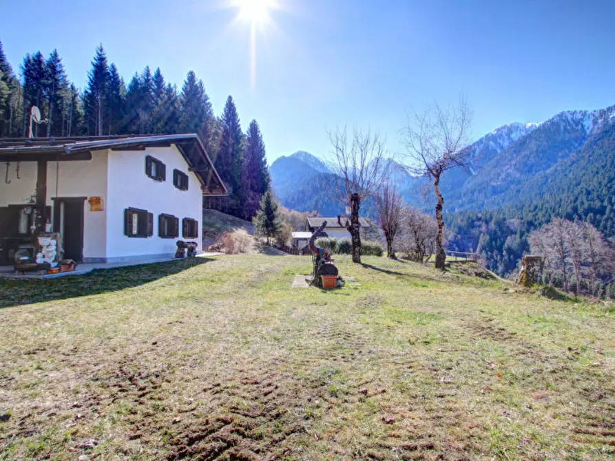 Immagine 5 di Rustico / casale in vendita  in Località Dasone a Sella Giudicarie