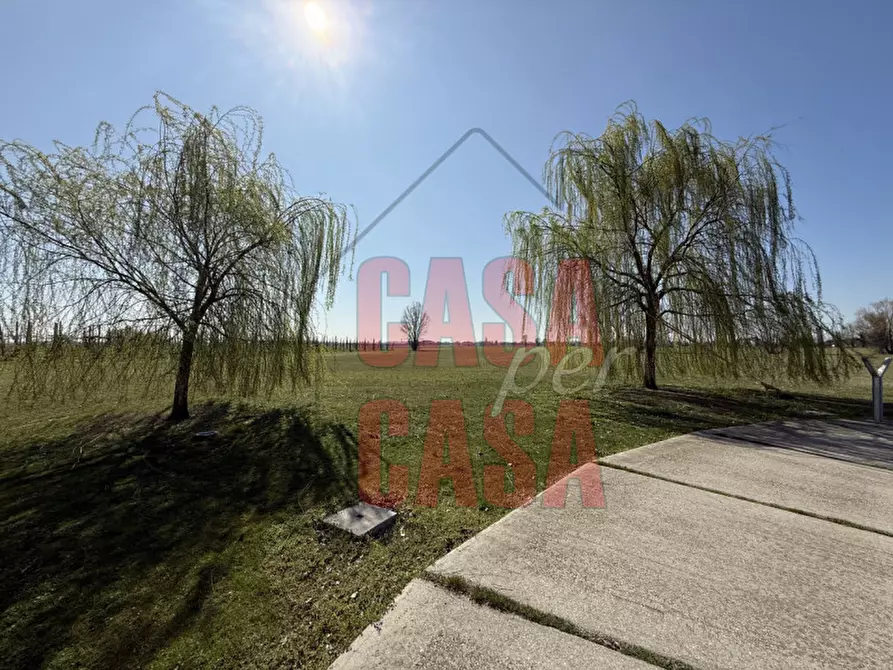 Immagine 29 di Rustico / casale in vendita  a Occhiobello