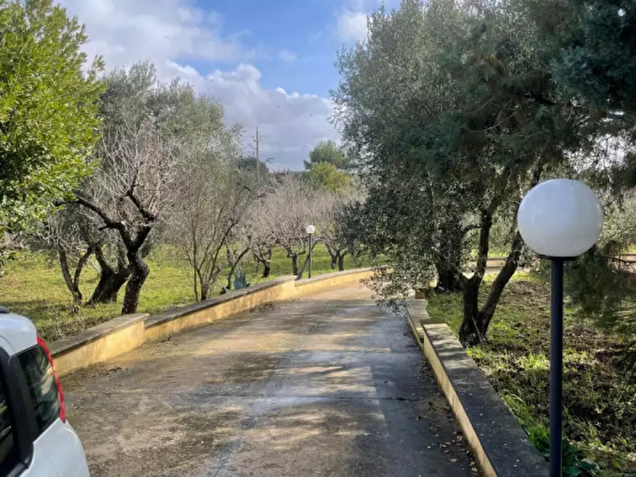 Immagine 21 di Villa in vendita  in Contrada Foggia Sant'Anna a Ceglie Messapico