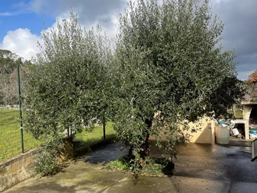 Immagine 28 di Villa in vendita  in Contrada Foggia Sant'Anna a Ceglie Messapico