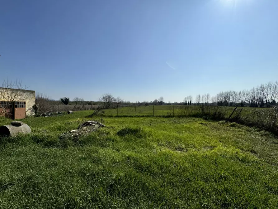 Immagine 2 di Rustico / casale in vendita  in Via Frassenelle a Este