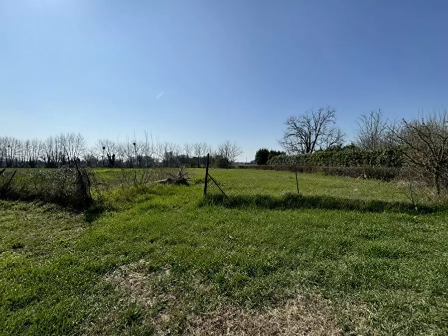 Immagine 3 di Rustico / casale in vendita  in Via Frassenelle a Este