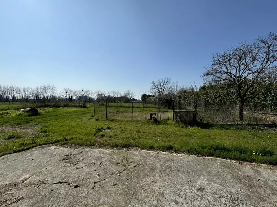 Immagine 6 di Rustico / casale in vendita  in Via Frassenelle a Este