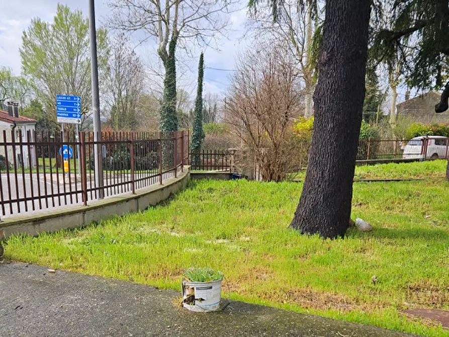 Immagine 6 di Casa indipendente in vendita  in Via Bomba a Cinto Euganeo