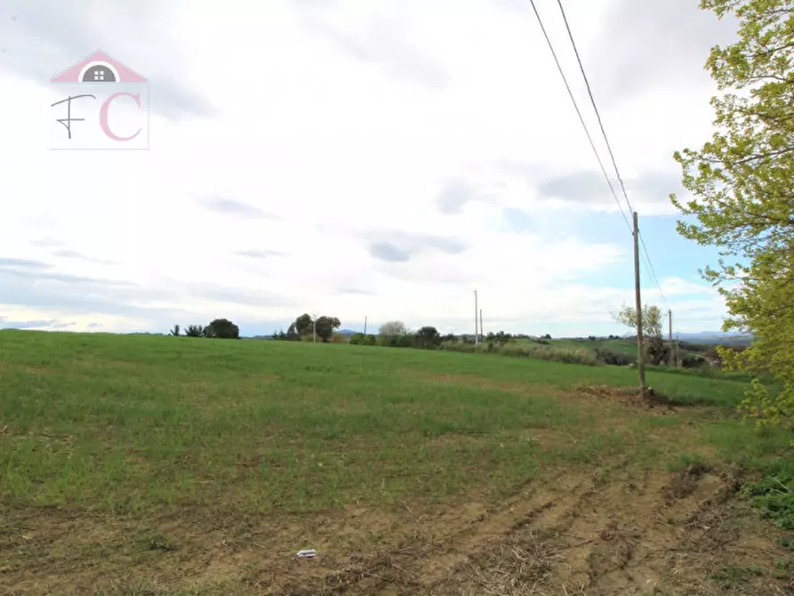 Immagine 5 di Terreno in vendita  in strada montini a Narni