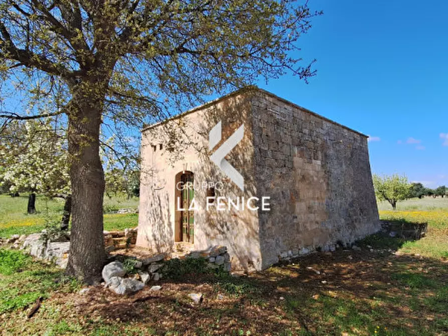 Immagine 1 di Rustico / casale in vendita  in contrada Marinelli Tirunno a Cisternino