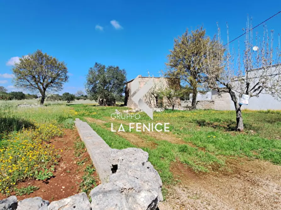 Immagine 3 di Rustico / casale in vendita  in contrada Marinelli Tirunno a Cisternino