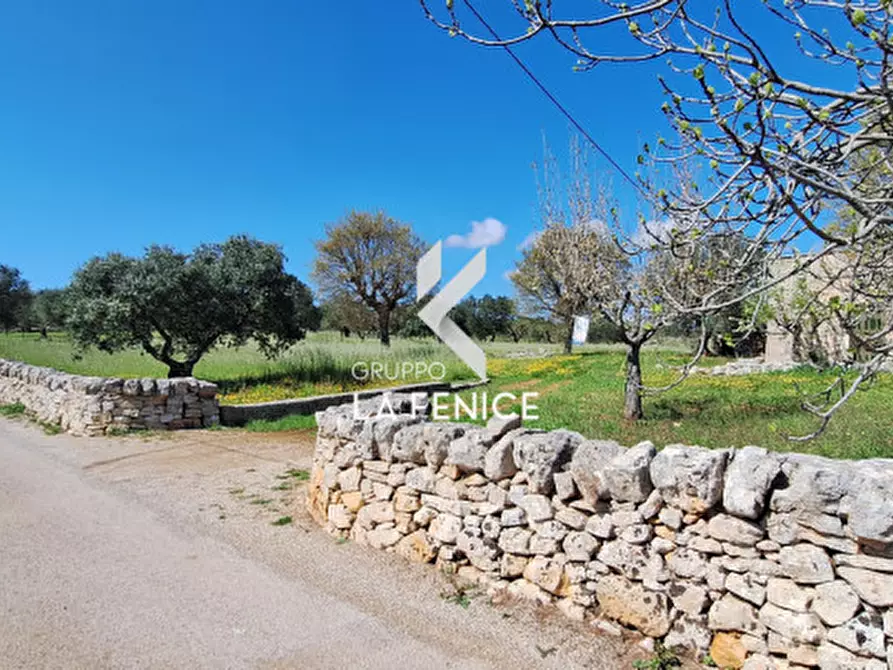 Immagine 4 di Rustico / casale in vendita  in contrada Marinelli Tirunno a Cisternino