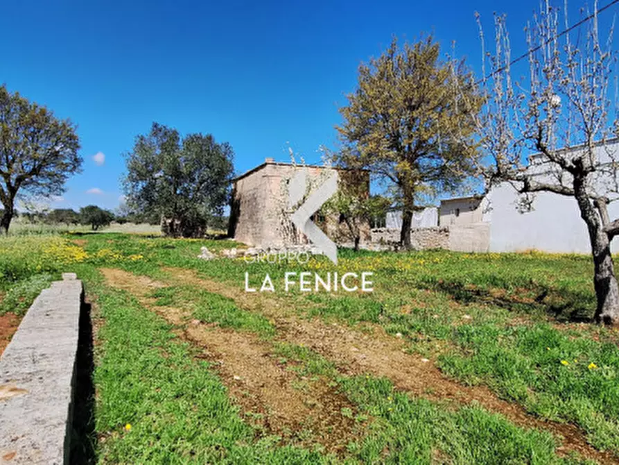 Immagine 6 di Rustico / casale in vendita  in contrada Marinelli Tirunno a Cisternino