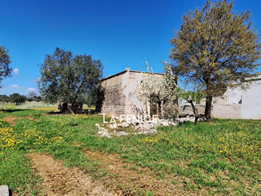 Immagine 7 di Rustico / casale in vendita  in contrada Marinelli Tirunno a Cisternino