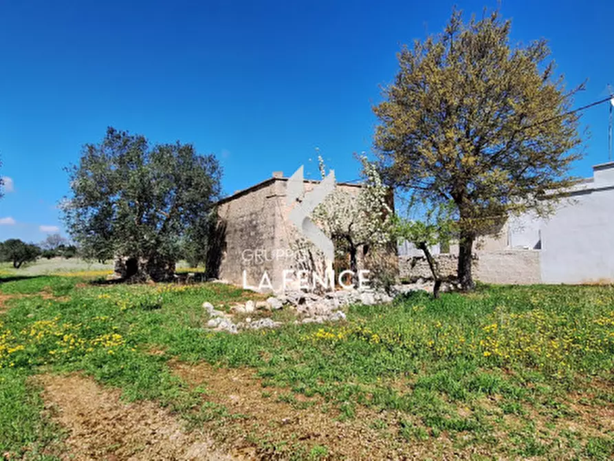 Immagine 8 di Rustico / casale in vendita  in contrada Marinelli Tirunno a Cisternino