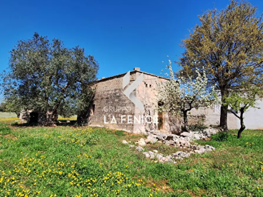Immagine 9 di Rustico / casale in vendita  in contrada Marinelli Tirunno a Cisternino