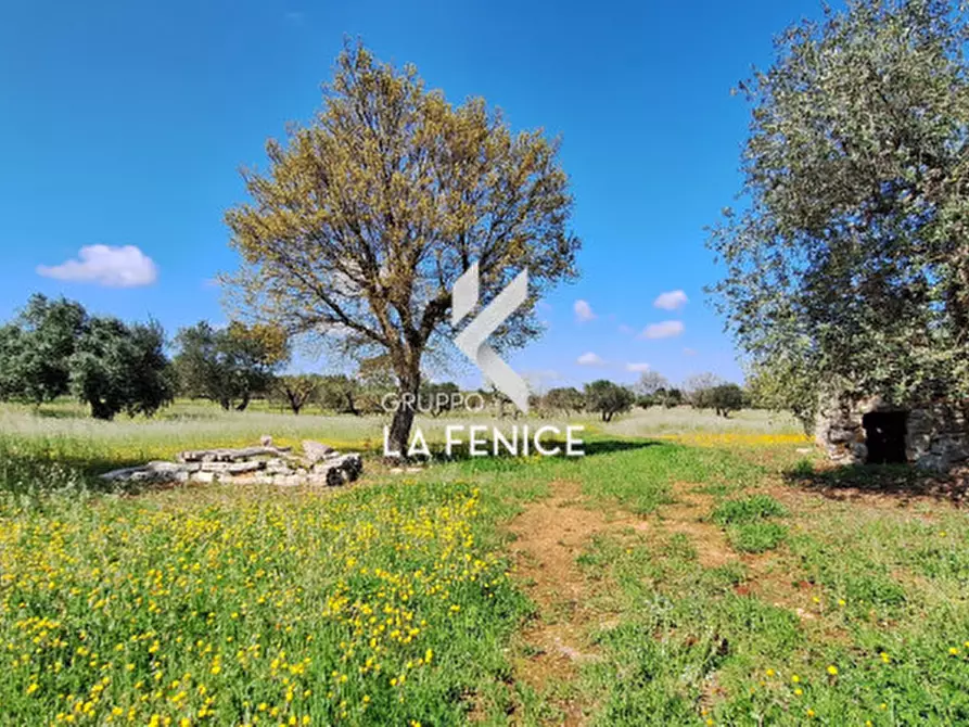 Immagine 10 di Rustico / casale in vendita  in contrada Marinelli Tirunno a Cisternino