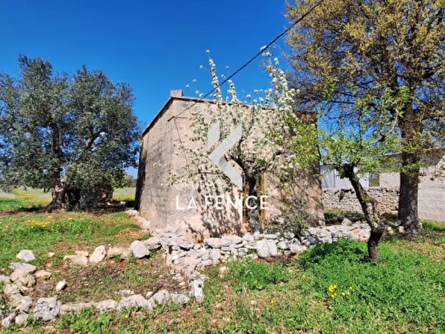 Immagine 11 di Rustico / casale in vendita  in contrada Marinelli Tirunno a Cisternino