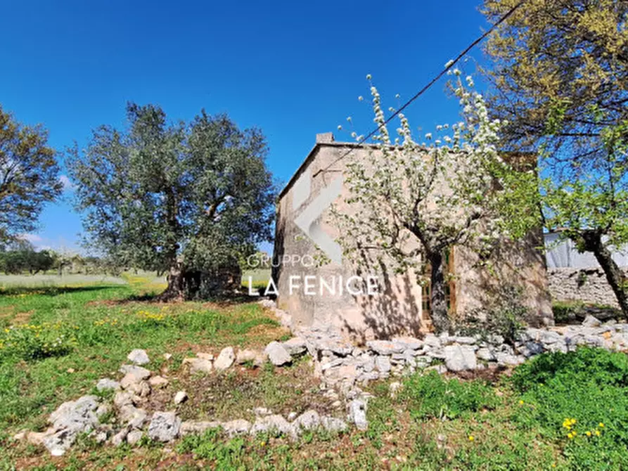 Immagine 12 di Rustico / casale in vendita  in contrada Marinelli Tirunno a Cisternino