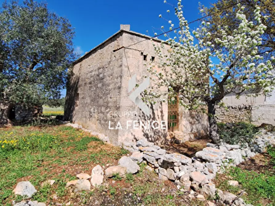 Immagine 13 di Rustico / casale in vendita  in contrada Marinelli Tirunno a Cisternino