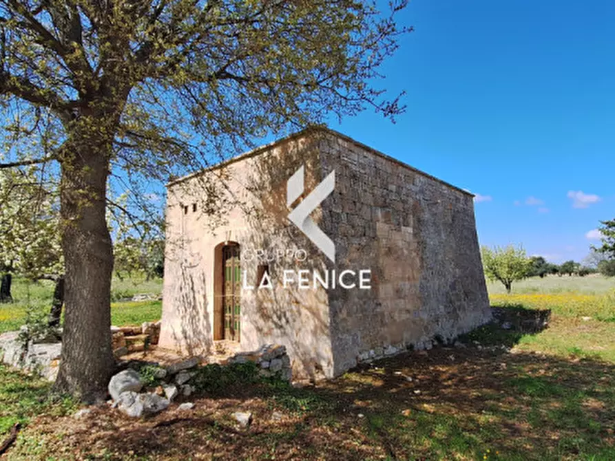 Immagine 14 di Rustico / casale in vendita  in contrada Marinelli Tirunno a Cisternino