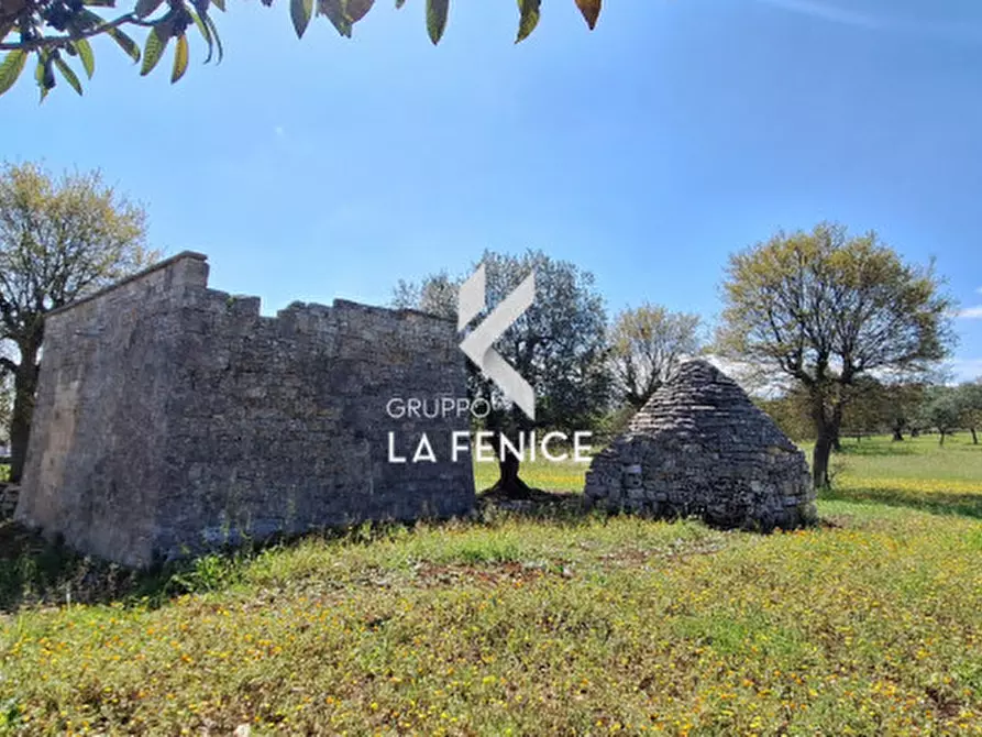 Immagine 15 di Rustico / casale in vendita  in contrada Marinelli Tirunno a Cisternino