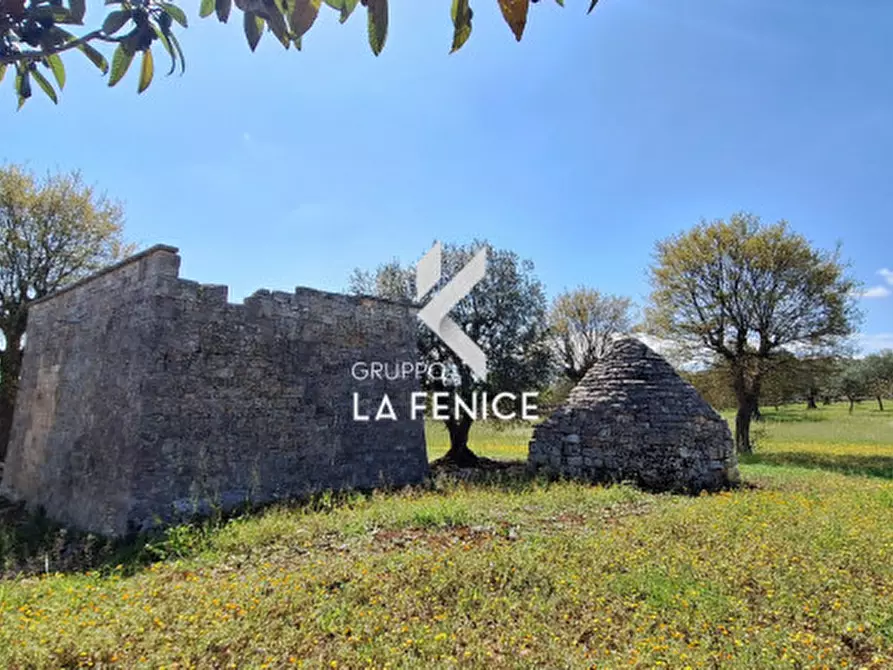 Immagine 16 di Rustico / casale in vendita  in contrada Marinelli Tirunno a Cisternino